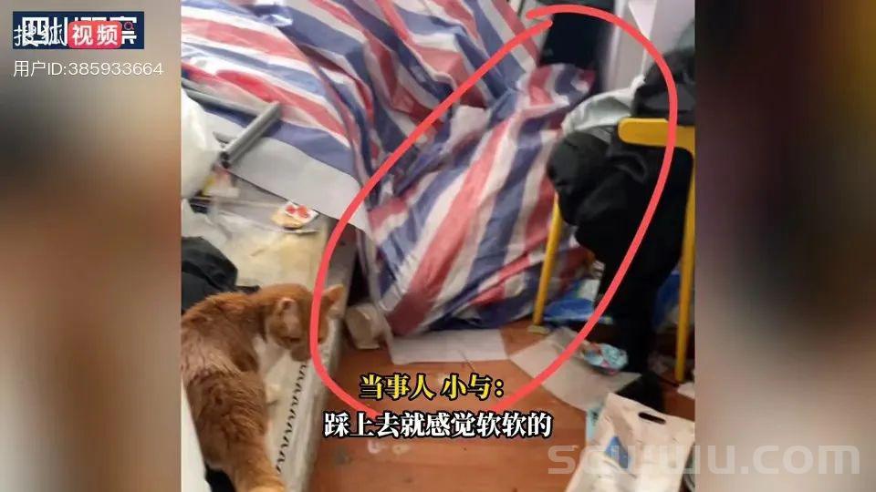 男子以喂猫为由多次诱骗陌生女生到家里,疑似裸体躺在塑料袋里等着被踩… 新闻 社会 男子 以喂猫 为由 多次诱骗 陌生女生 到家里 疑似裸体 躺在 塑料袋里 等着被踩 第6张 男子以喂猫为由多次诱骗陌生女生到家里,疑似裸体躺在塑料袋里等着被踩… 新闻 社会 男子 以喂猫 为由 多次诱骗 陌生女生 到家里 疑似裸体 躺在 塑料袋里 等着被踩 第6张