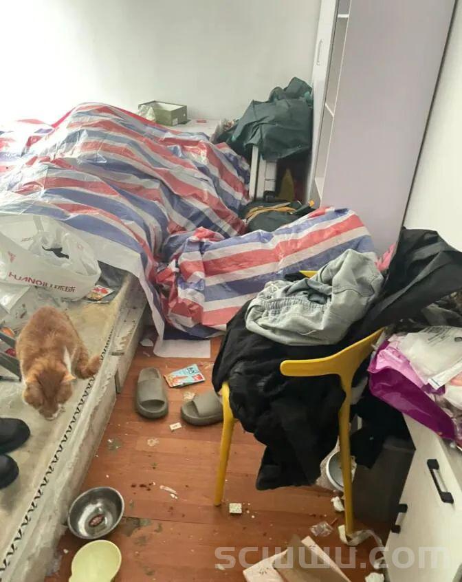 男子以喂猫为由多次诱骗陌生女生到家里,疑似裸体躺在塑料袋里等着被踩… 新闻 社会 男子 以喂猫 为由 多次诱骗 陌生女生 到家里 疑似裸体 躺在 塑料袋里 等着被踩 第2张 男子以喂猫为由多次诱骗陌生女生到家里,疑似裸体躺在塑料袋里等着被踩… 新闻 社会 男子 以喂猫 为由 多次诱骗 陌生女生 到家里 疑似裸体 躺在 塑料袋里 等着被踩 第2张