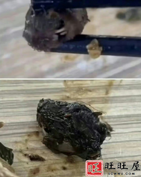 一所高校食堂饭菜中出现异物,官方说这是鸭脖,但许多网友都认为是老鼠头 新闻 社会 一所高校 食堂 饭菜中 出现异物 官方说 这是鸭脖 但许多 网友 认为 是老鼠头 第12张 一所高校食堂饭菜中出现异物,官方说这是鸭脖,但许多网友都认为是老鼠头 新闻 社会 一所高校 食堂 饭菜中 出现异物 官方说 这是鸭脖 但许多 网友 认为 是老鼠头 第12张